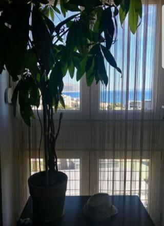 Apartment Maris Spalato Esterno foto